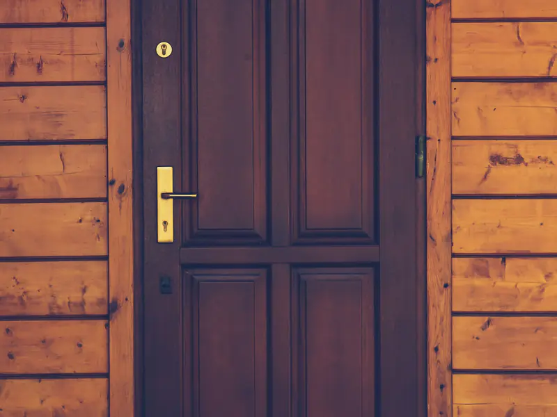 Dark wooden panel front door with a brass handle